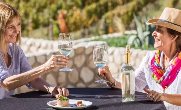 Salta participará en Wine Paris 2025 para promocionar sus vinos de altura y oferta turística