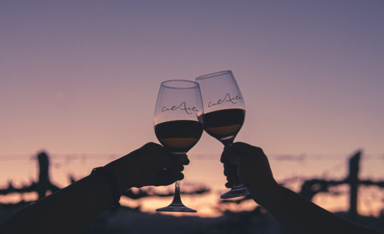 CatArte: Se presentó el primer festival de vinos de los Valles Calchaquíes
