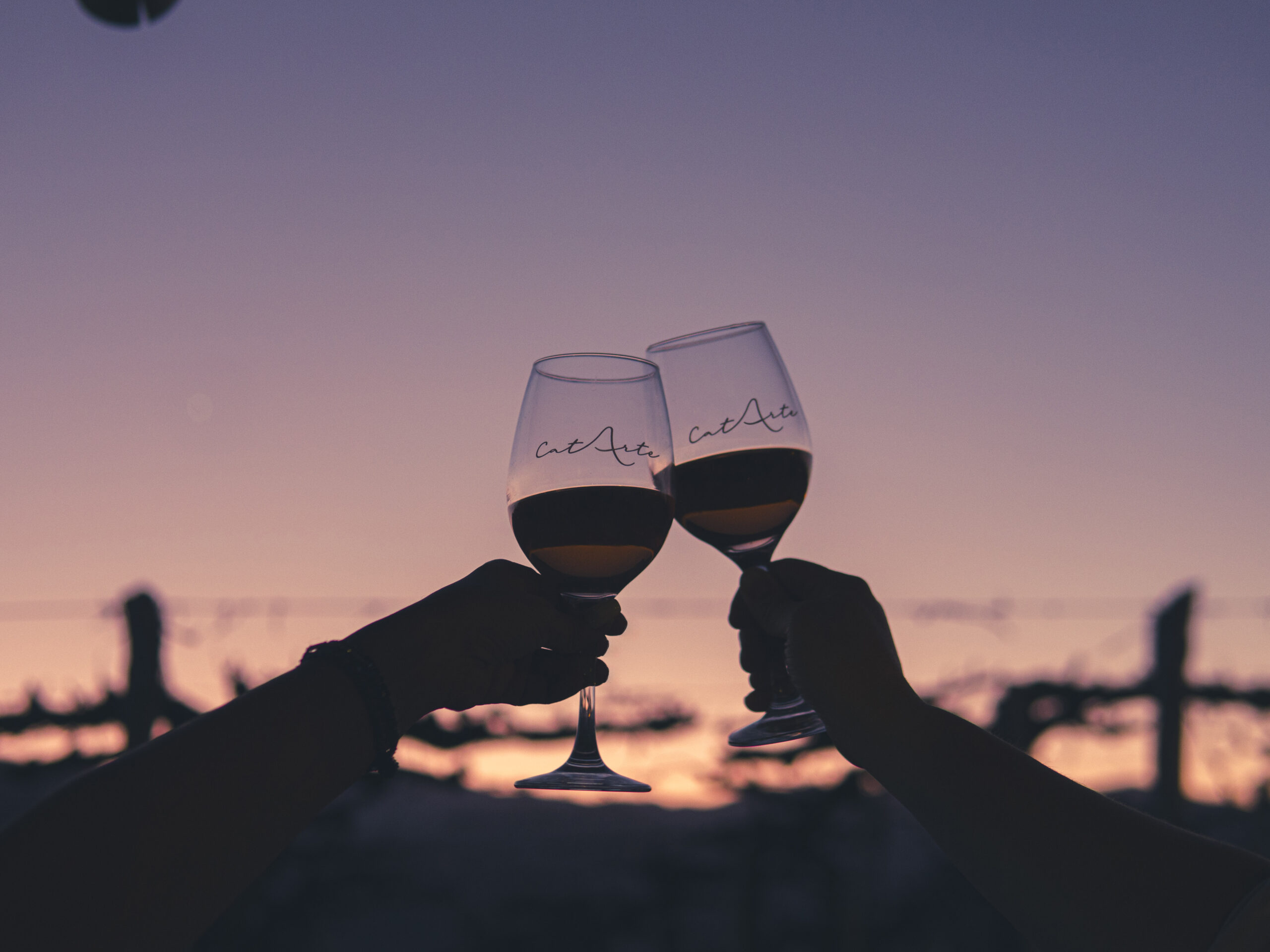 CatArte: Se presentó el primer festival de vinos de los Valles Calchaquíes