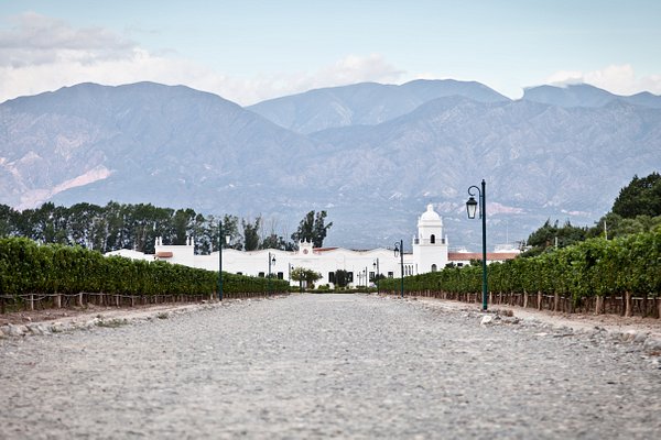 Animaná, un paraíso del Valle Calchaquí lleno de historia, vino y tradiciones