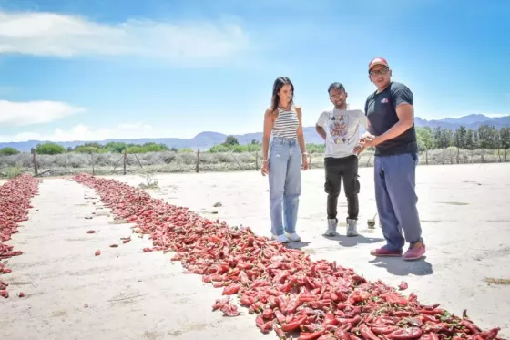 Invitan a emprendedores salteños a potenciar el turismo