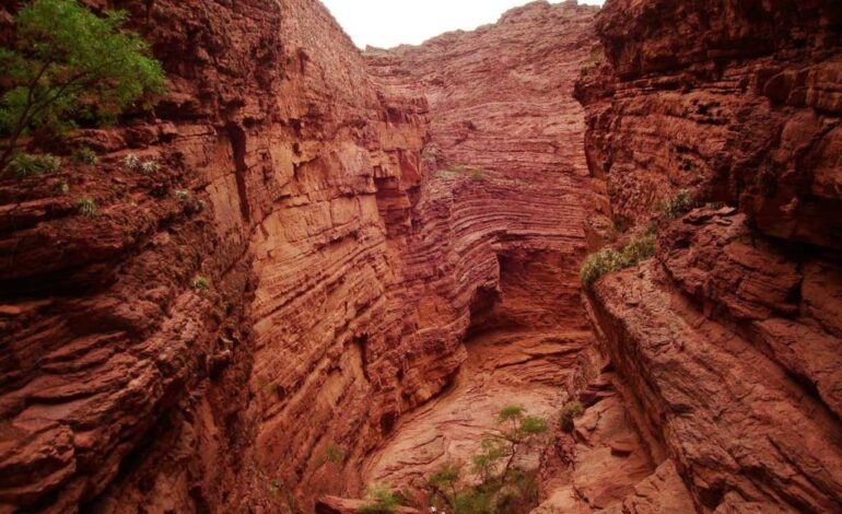 5 lugares imperdibles para visitar en Salta: Una aventura por paisajes, cultura y tradiciones