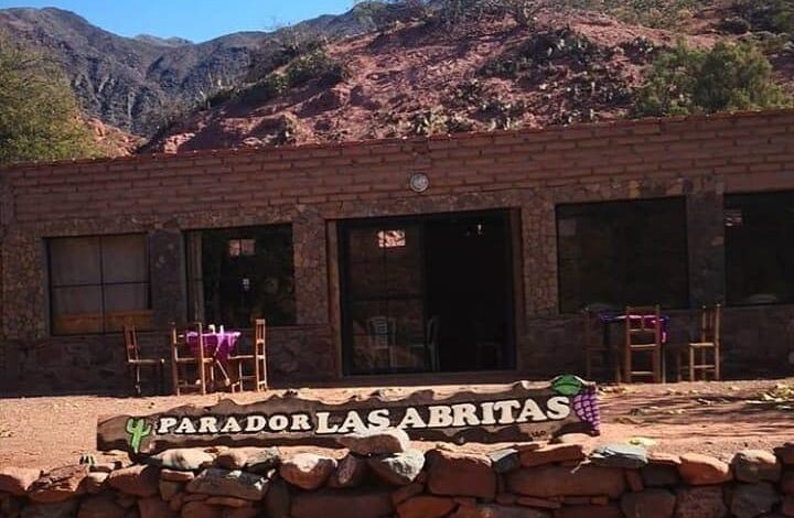 Empanadas, paisajes y Starlink: el rinconcito salteño que ya es furor en Cafayate