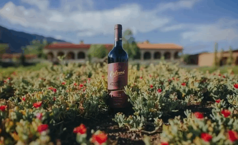 Colomé, la mejor experiencia de enoturismo del país