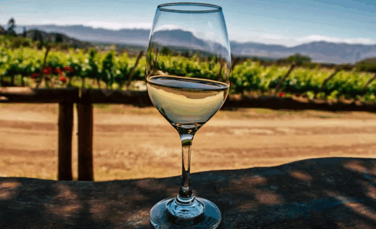 Vuelve “Degustar”: la feria de vinos más importante de Salta ya tiene fecha confirmada