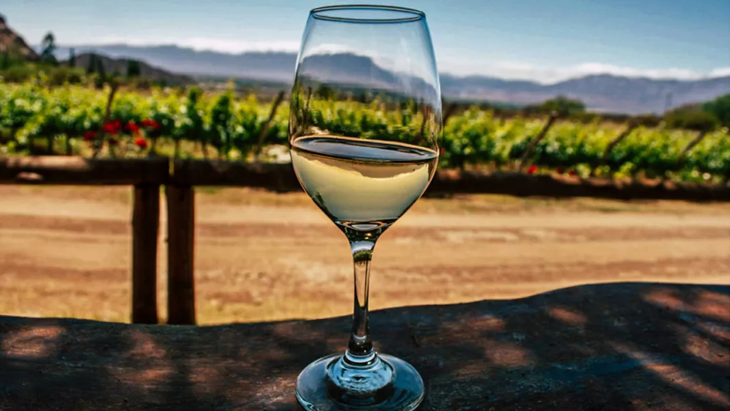Vuelve “Degustar”: la feria de vinos más importante de Salta ya tiene fecha confirmada