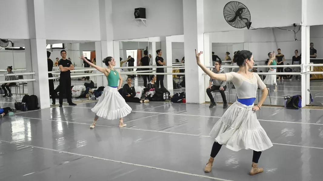 “El Lago de los Cisnes” llega al Teatro Provincial