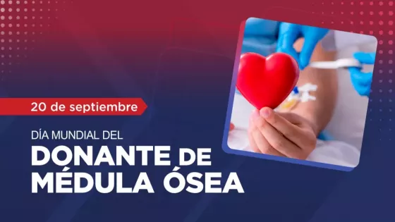 Hoy se conmemora el Día Mundial del Donante de Médula Ósea