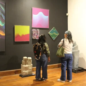 Salta celebra los 10 años de BIENALSUR con arte sin fronteras