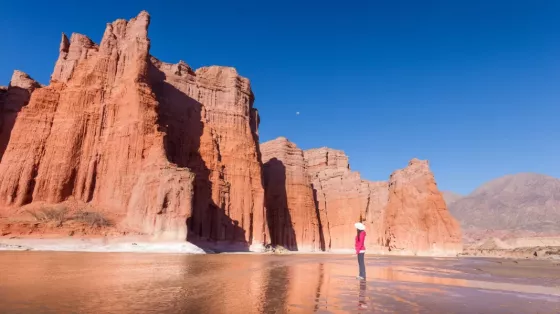 Salta continúa fortaleciendo su presencia en el mercado uruguayo