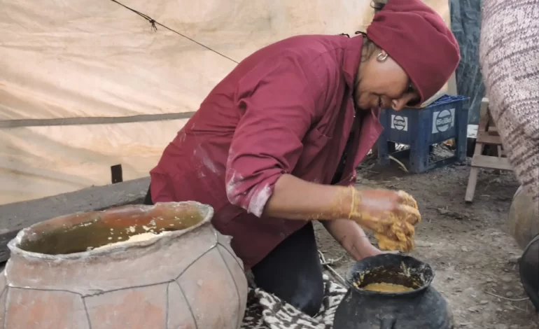 Sabores de la Quebrada del Toro: la cocina andina como patrimonio vivo
