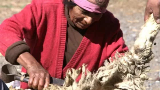 Jornada de aprendizajes en la Quebrada del Toro