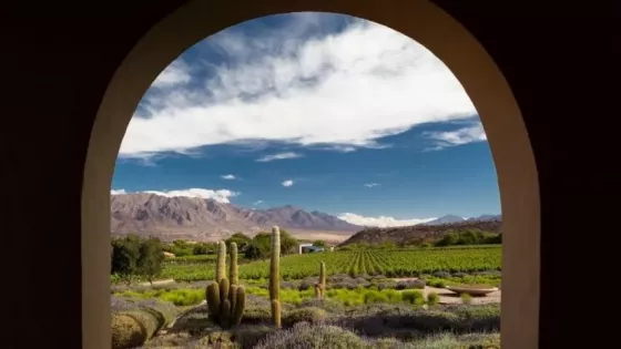 El vino de altura conquista al mundo: Colomé representa a Salta entre los grandes destinos enoturísticos