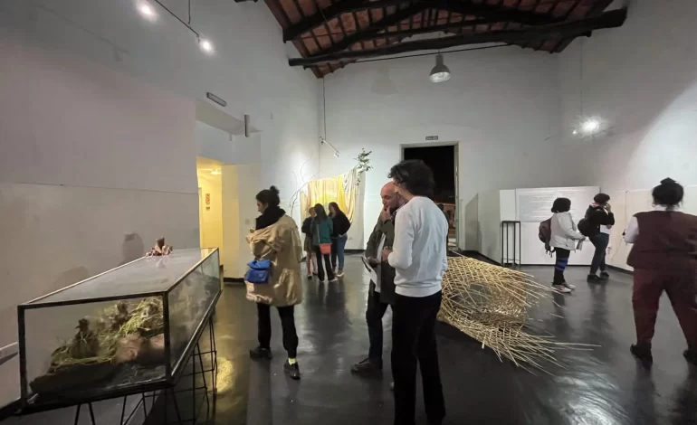 El Museo de Bellas Artes de Salta inaugura la muestra colectiva “Hasta encontrarnos un río…”