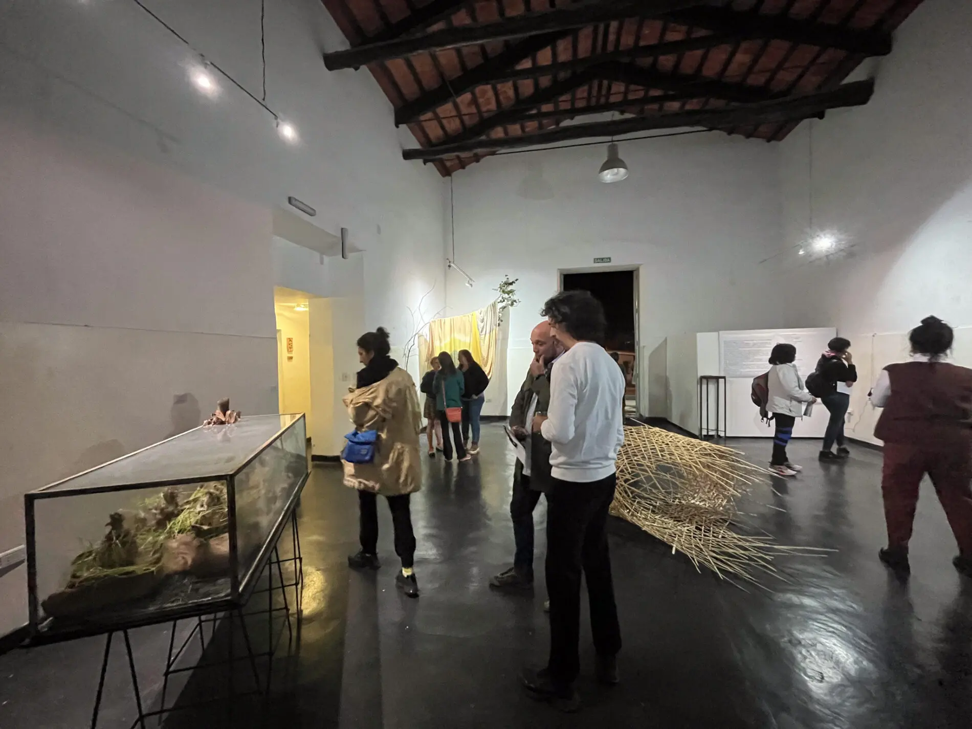 El Museo de Bellas Artes de Salta inaugura la muestra colectiva “Hasta encontrarnos un río…”