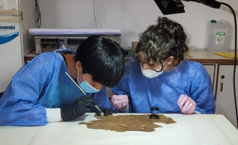 Textiles arqueológicos reciben tratamiento en prácticas profesionales