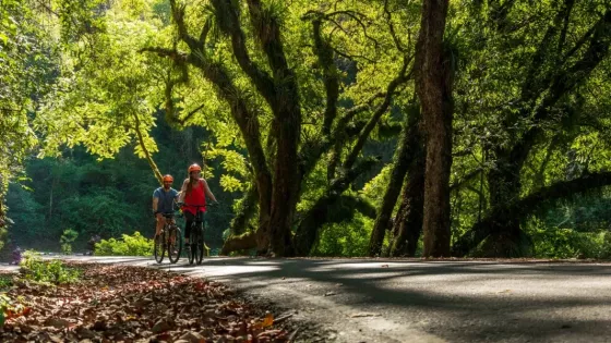 Salta ofrece una amplia agenda de actividades para el verano