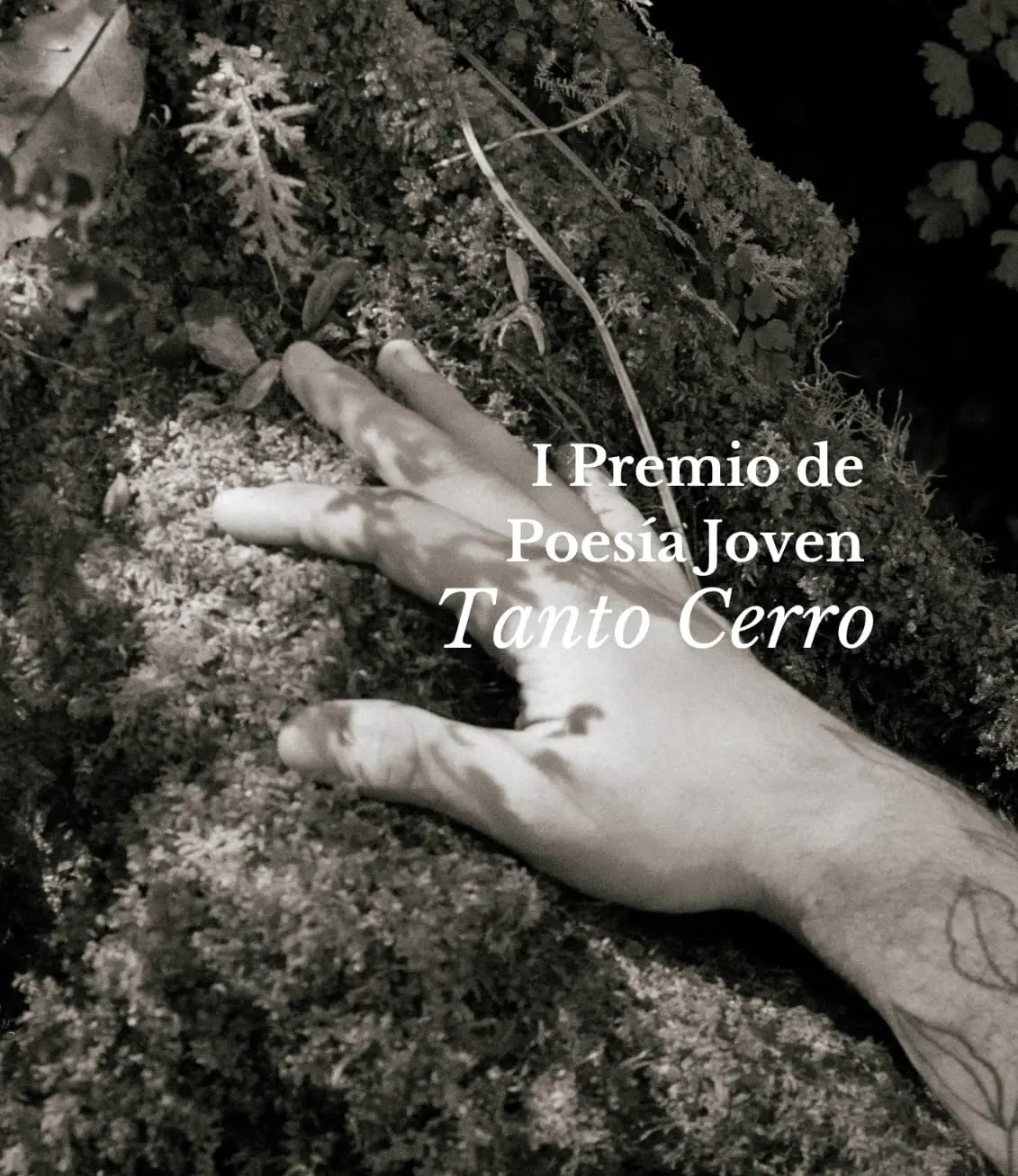 Convocan a poetas jóvenes salteños al primer Premio de Poesía Joven
