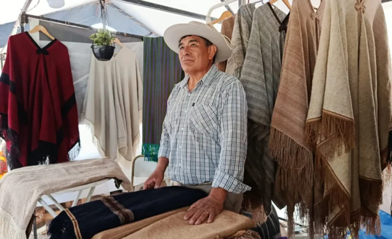 La Secretaría de Cultura de la Provincia brindó una charla informativa sobre políticas culturales para el sector artesanal en San Carlos