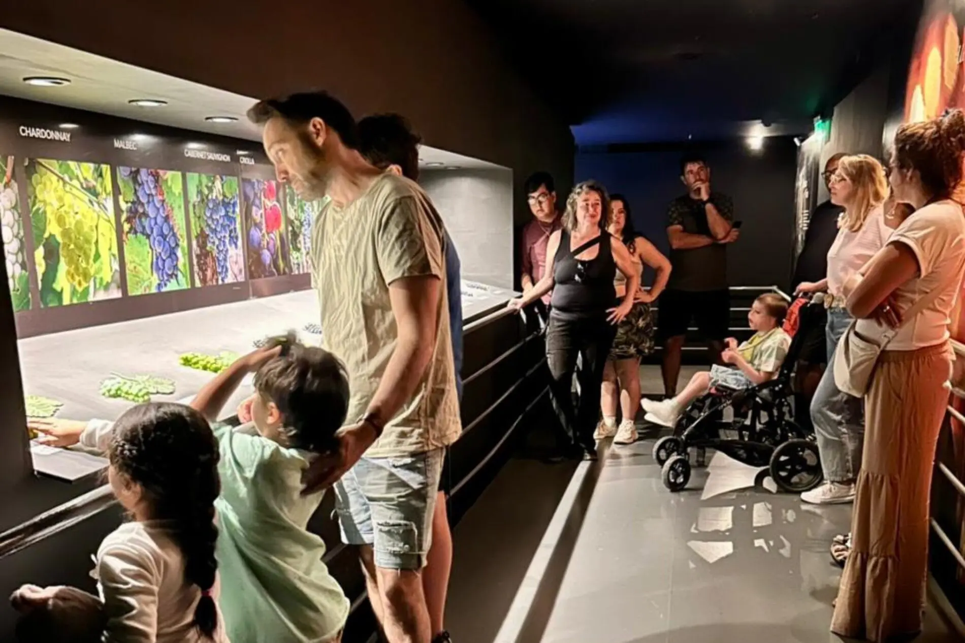 Vacaciones en Cultura: La provincia abre sus espacios culturales con propuestas para todos los públicos