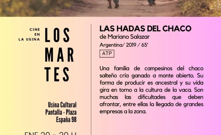 Continúan con éxito de público las funciones de cine de Los Martes “verano”