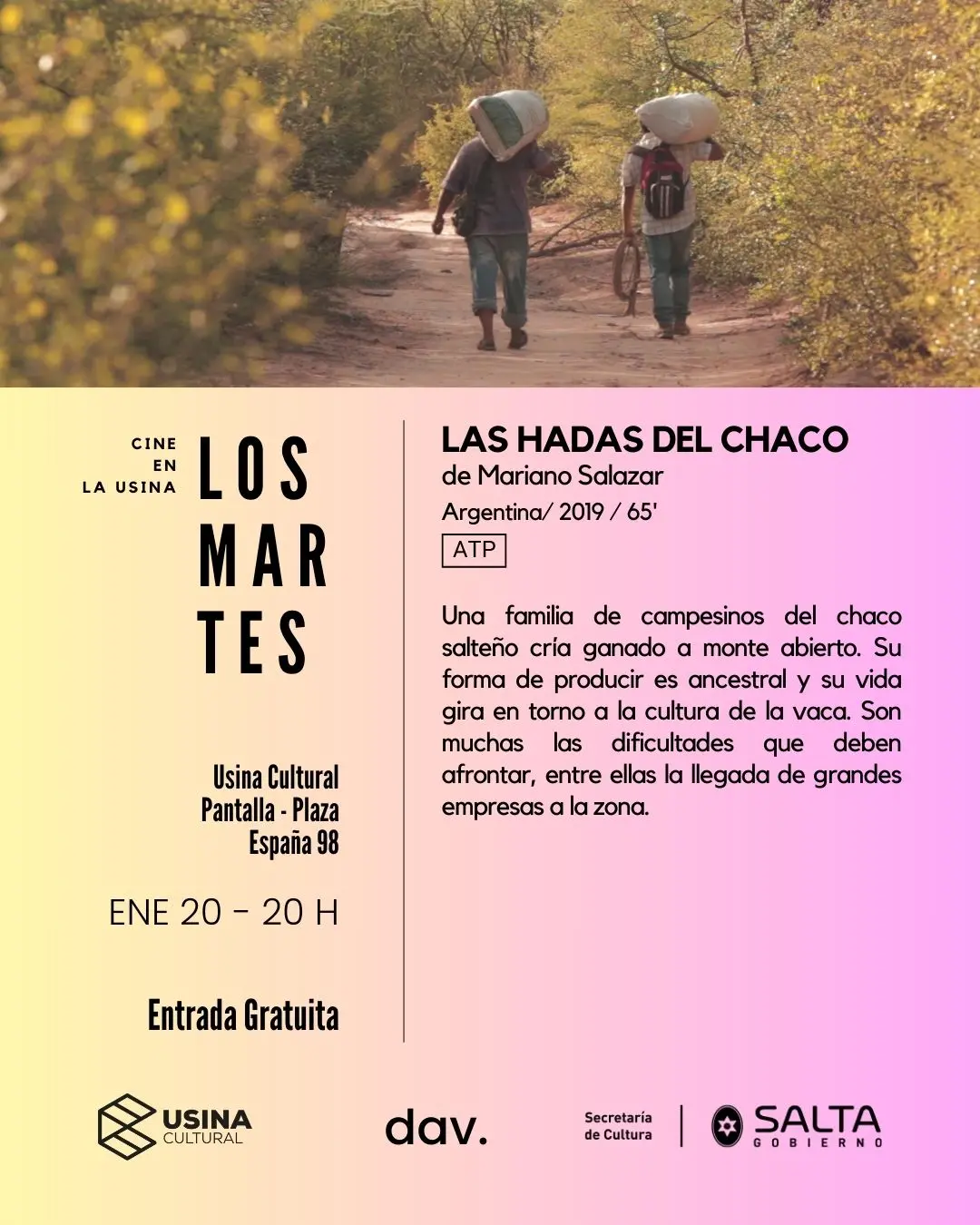 Continúan con éxito de público las funciones de cine de Los Martes “verano”