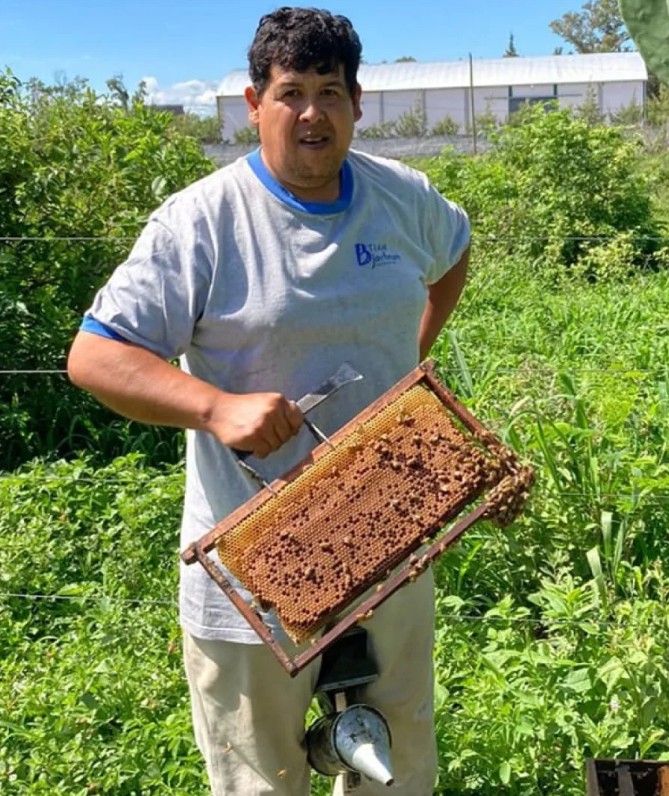 En Metán se encuentra una de las mejores mieles del mundo