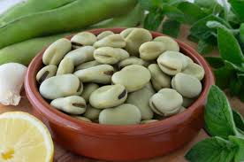 Fiesta Provincial del Haba