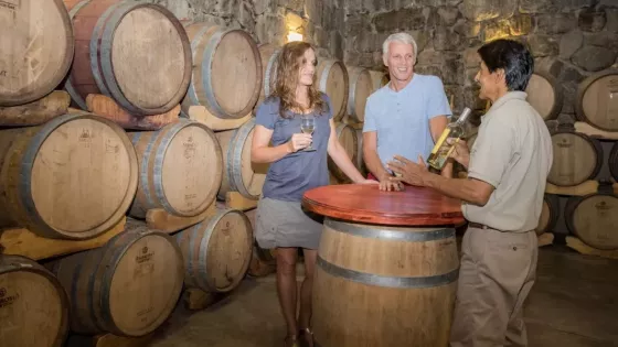 Cachi se viste de fiesta: llega una nueva edición de la Vendimia del Alto Valle Calchaquí