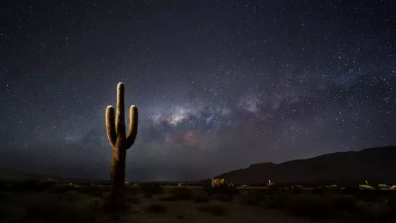 El Parque Nacional Los Cardones invita a vivir una noche única de astroturismo en los Valles Calchaquíes