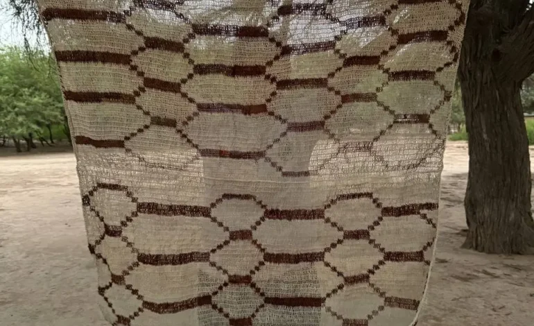 Workshop de Diseño: Texturas del Chaguar. Diseño, arte textil y cultura wichí en Salta
