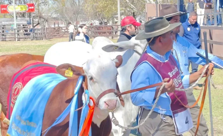 Hasta mañana estará abierta la 82º edición de la Expo Rural Salta