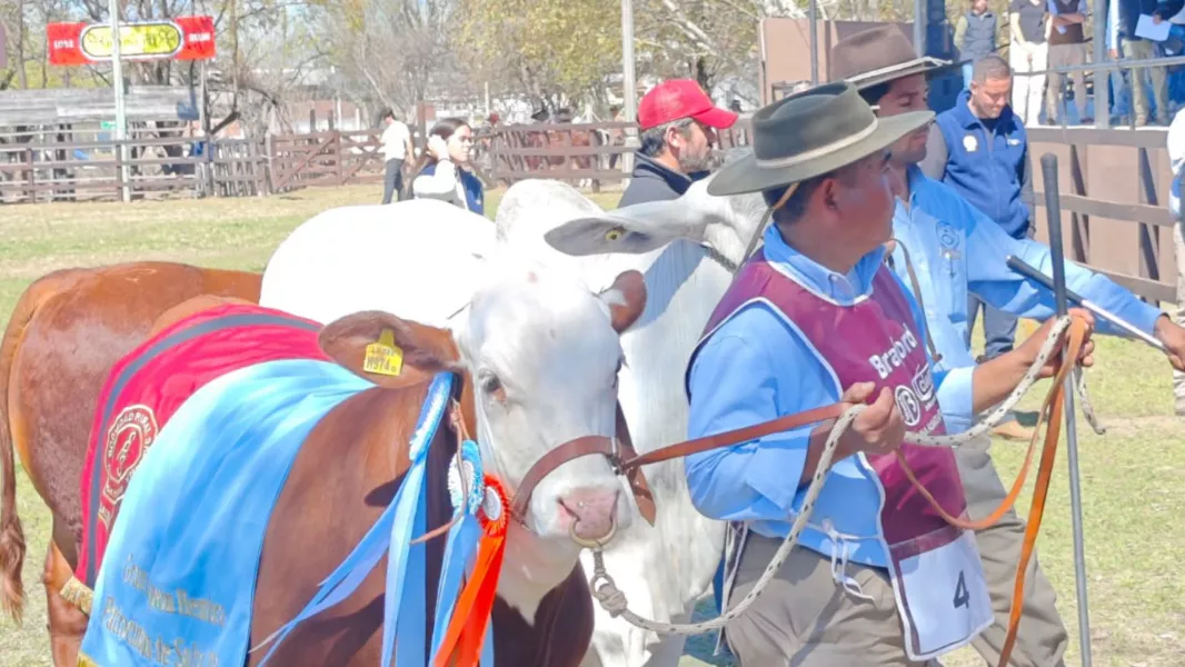 Hasta mañana estará abierta la 82º edición de la Expo Rural Salta